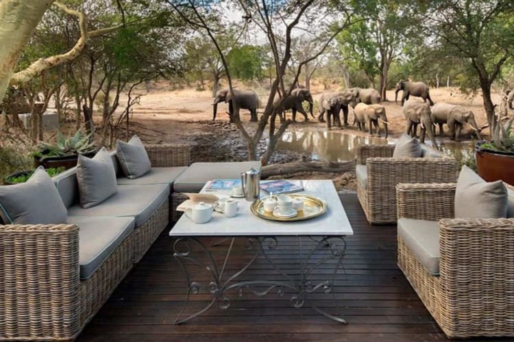 &Beyond Ngala Safari Lodge